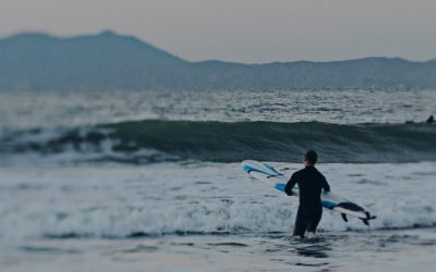 Blog Post 2